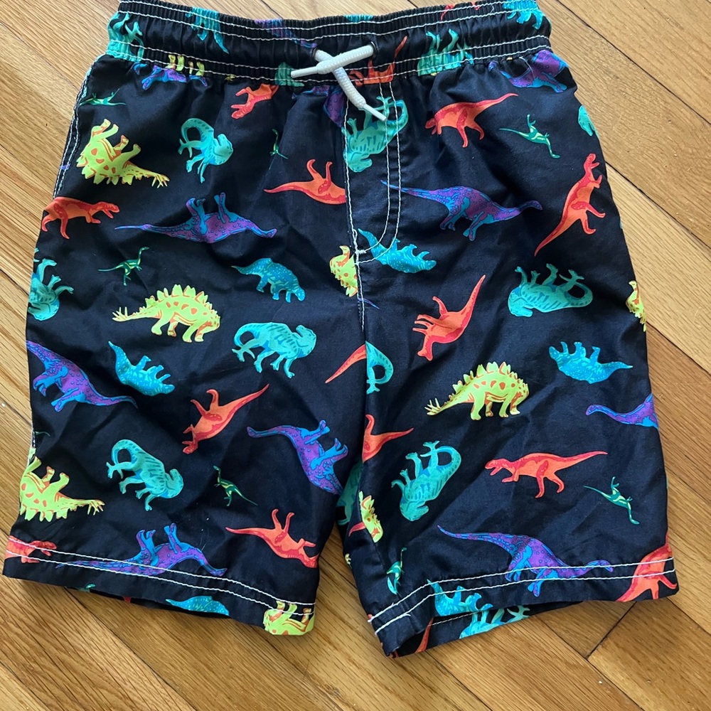 Colorful Dinosaur Print Kids Shorts